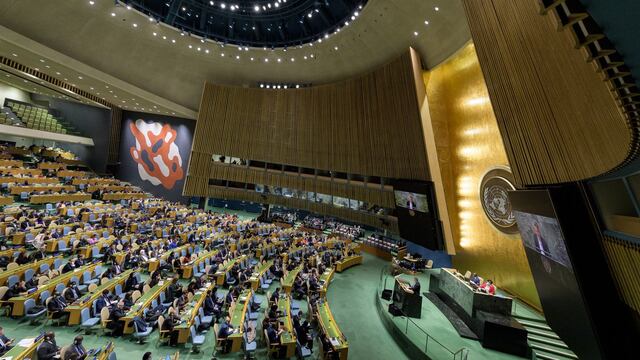 Asamblea de la ONU
