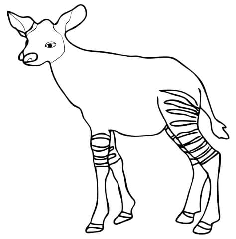 Okapi dibujo Día Mundial del Okapi