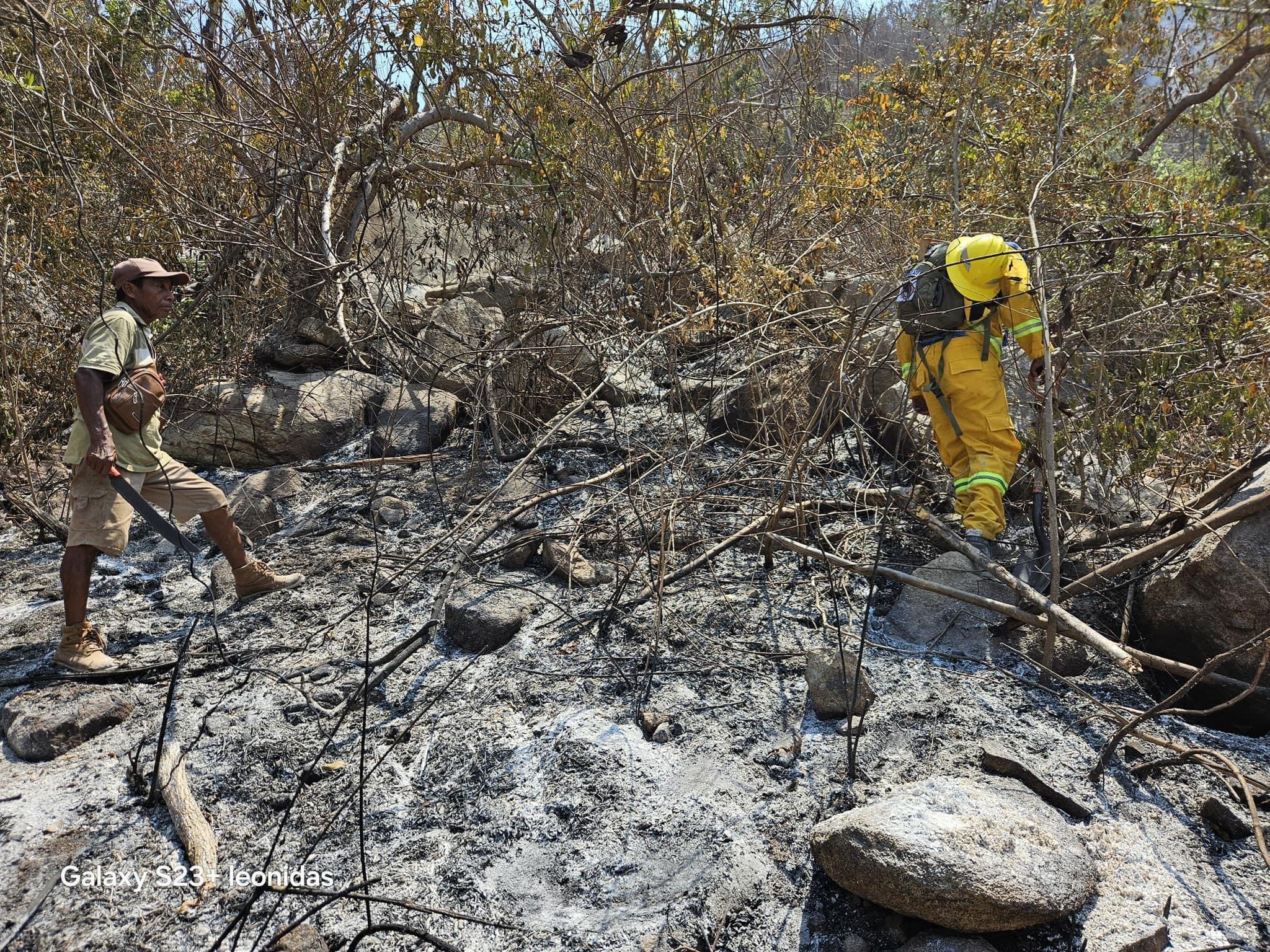 Incendios en Acapulco