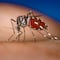 Dengue en México: Casos y muertes al 22 de julio 2024