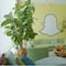 ¿Snapchat está desarrollando sus propios lentes inteligentes?