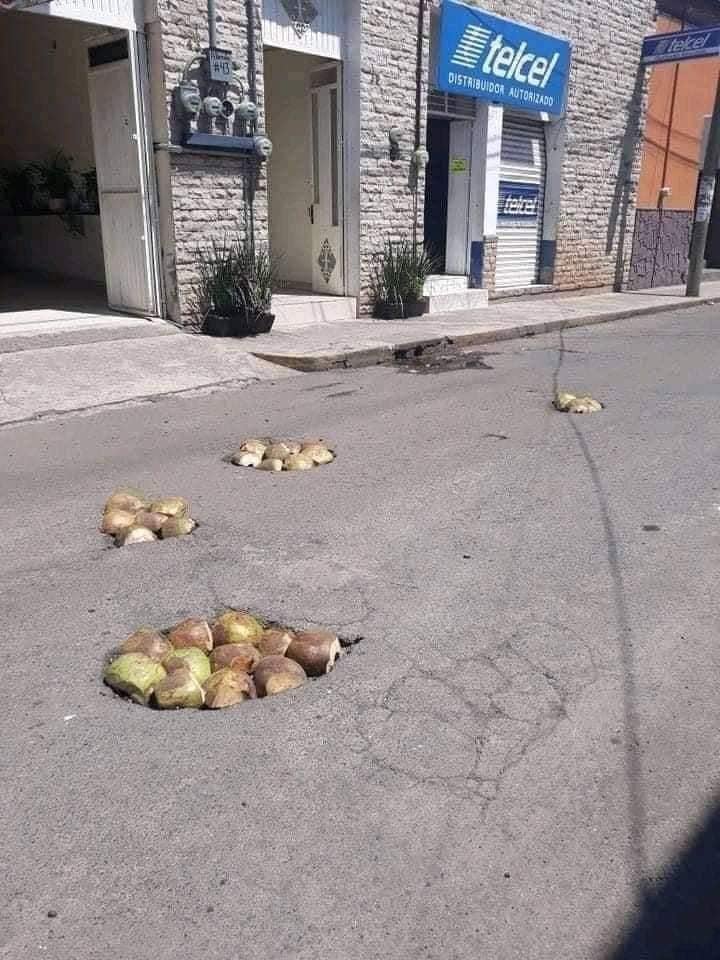 Tapan baches con cocos en Nayarit