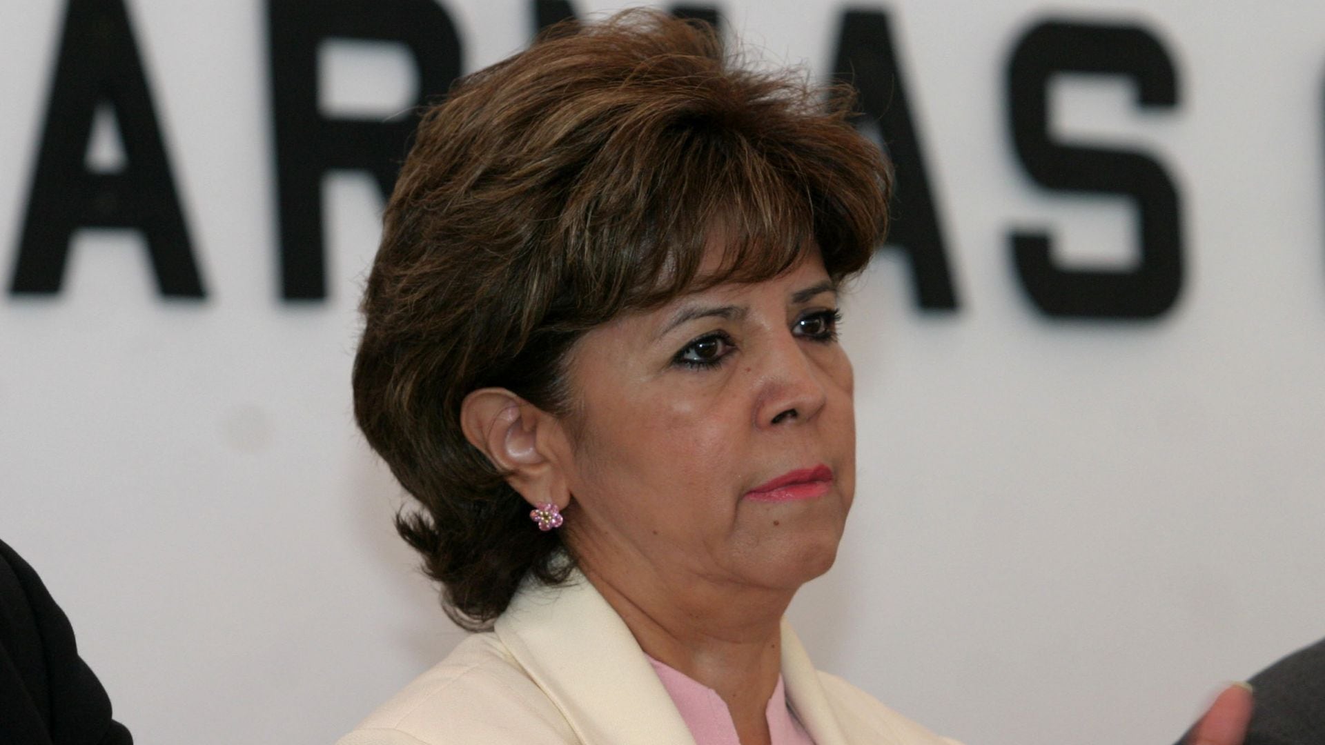 ¿Quién es Carmen Segura Rangel? Directora de Protección Civil en el sexenio de Vicente Fox