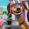 Conoce a los nuevos miembros de Paw Patrol en un maratón de capítulos completos en YouTube y español