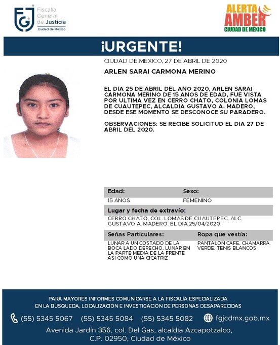 Ficha de búsqueda de Arlen.