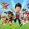 5 piñatas de Paw Patrol para niño inspiradas en los cachorros más famosos