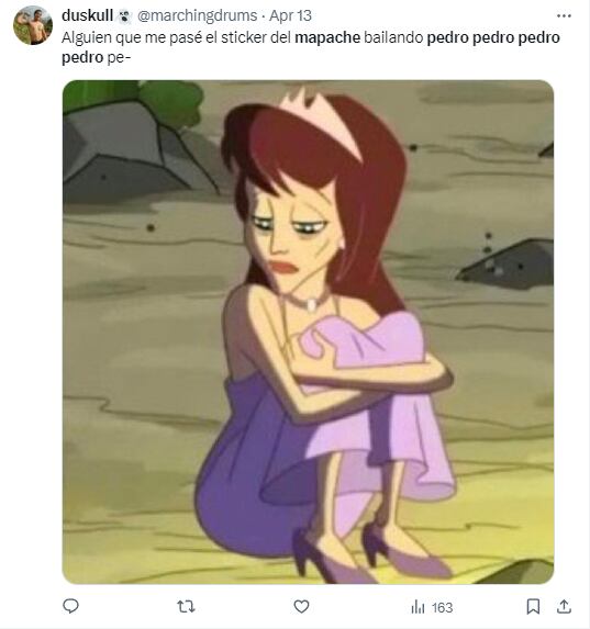 Memes del mapache "Pedro, Pedro"