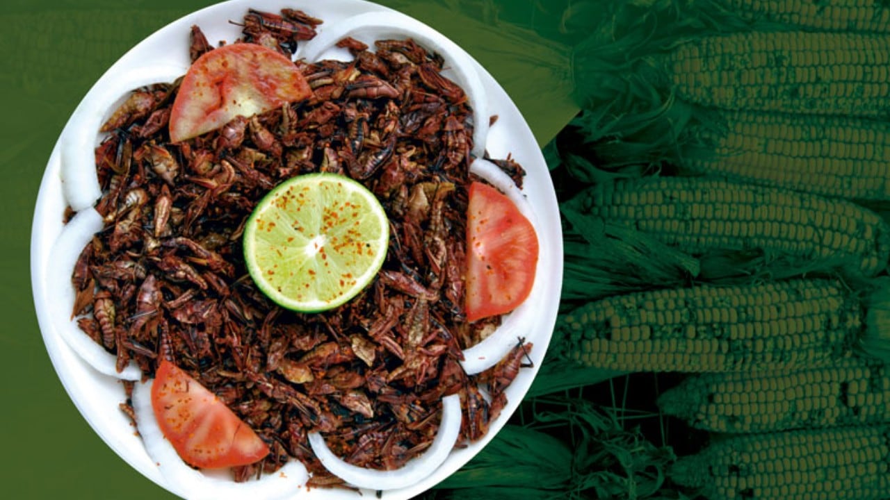 cHAPULINES