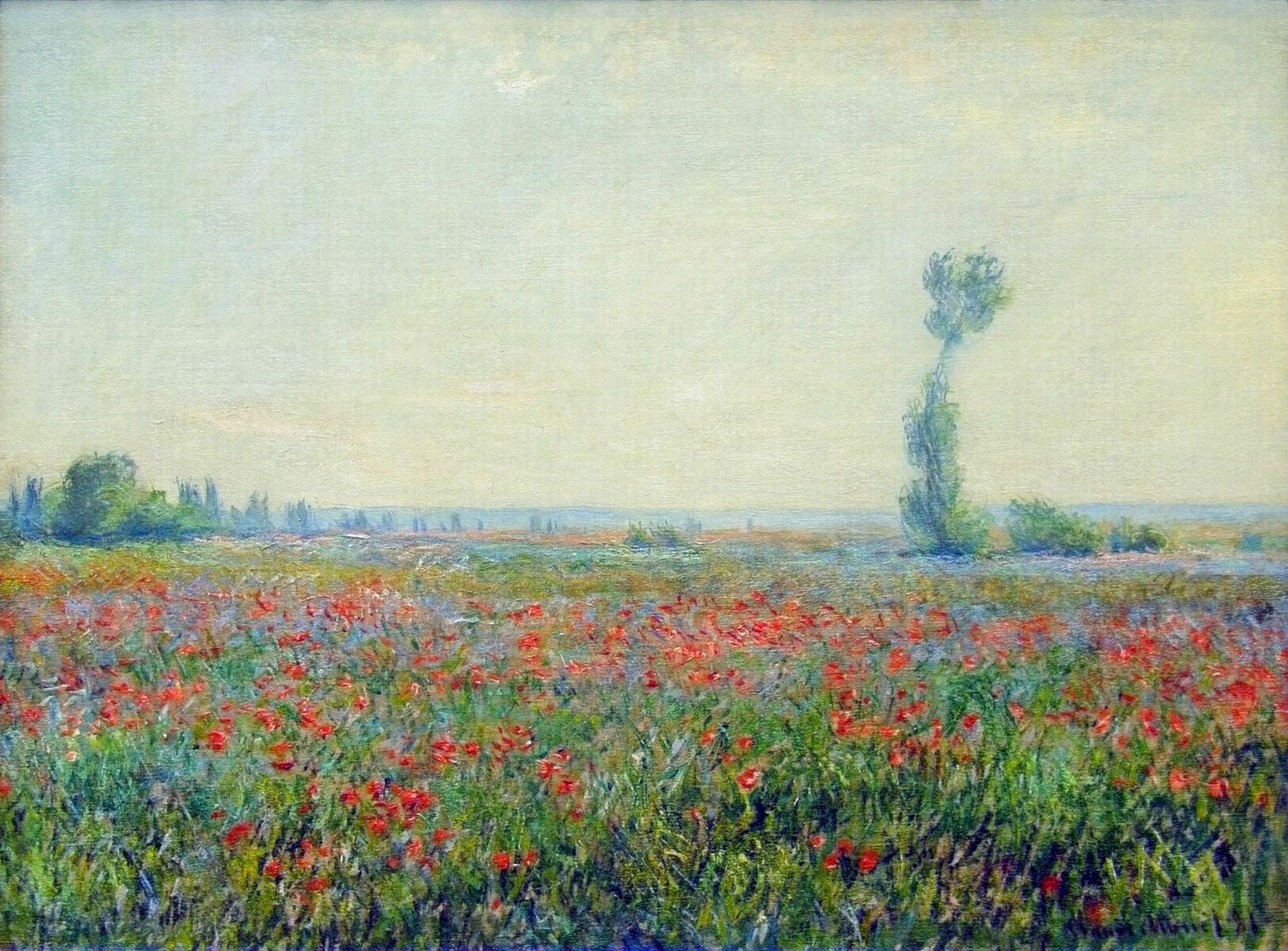 ¿Qué le pasó al cuadro de Claude Monet, “Poppy Field”? Una activista ambientalista lo interviene para alertarnos del aterrador futuro