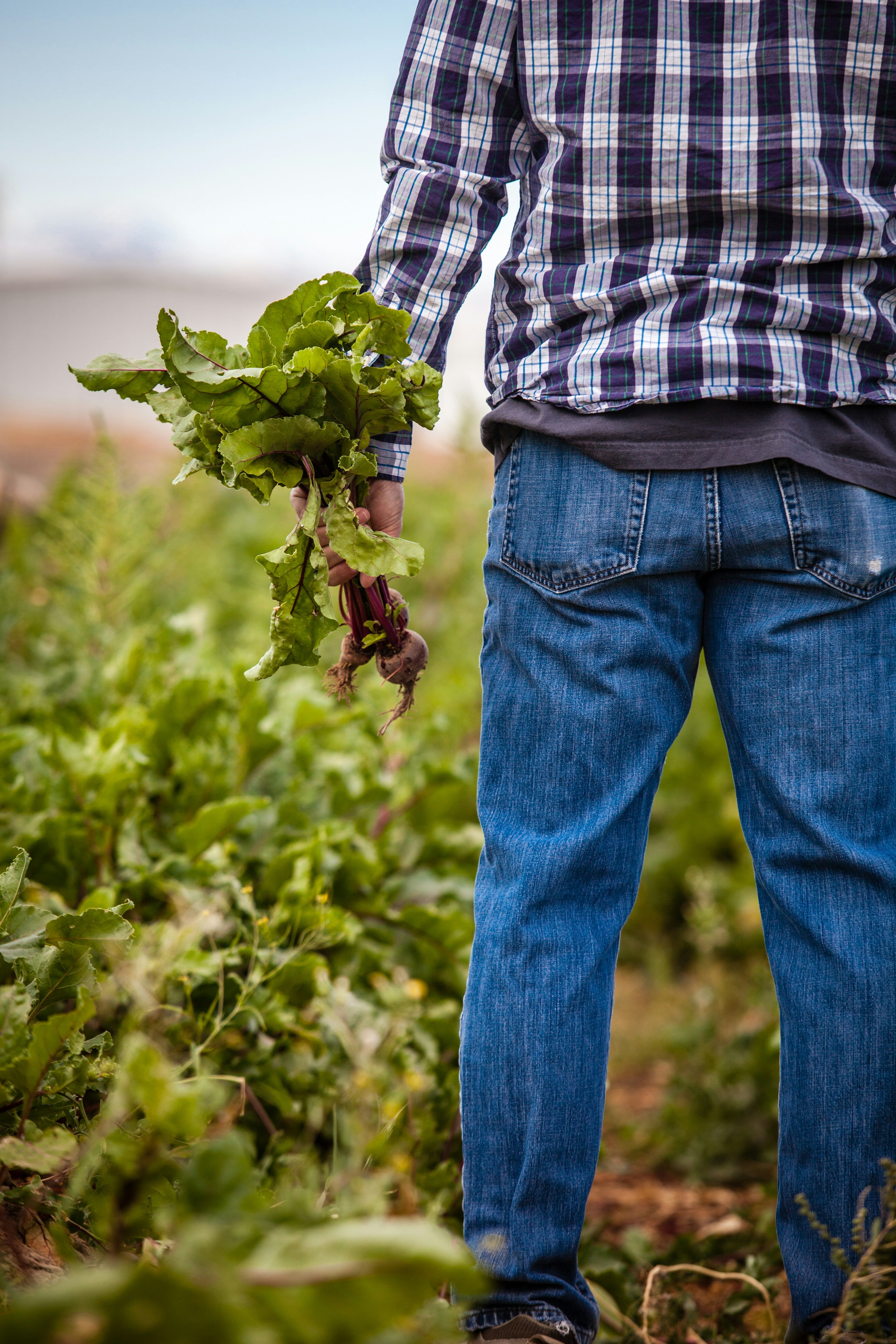 Agricultor