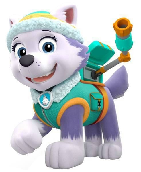 Everest de Paw Patrol