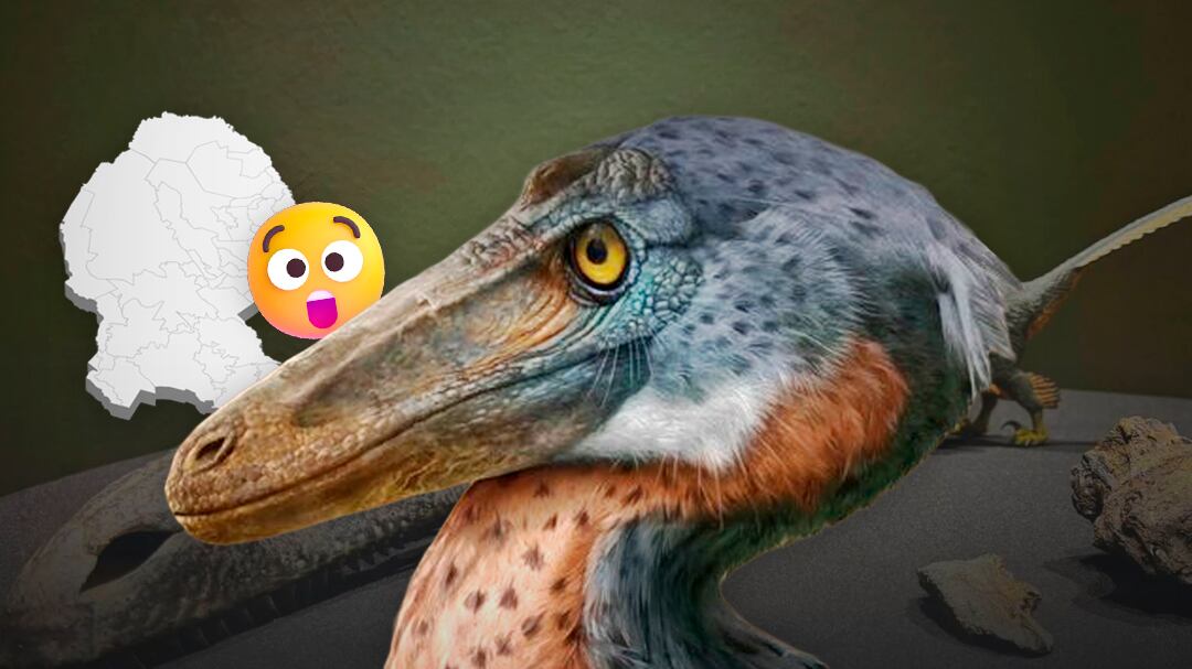 Descubren en Coahuila una nueva especie de dinosaurio: Xenovenator espinosai