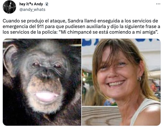 Charla Nash, la mujer a la que un chimpancé le destrozó la cara