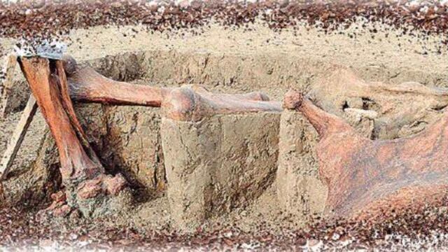 Encuentran restos de mamut en Santa Lucía