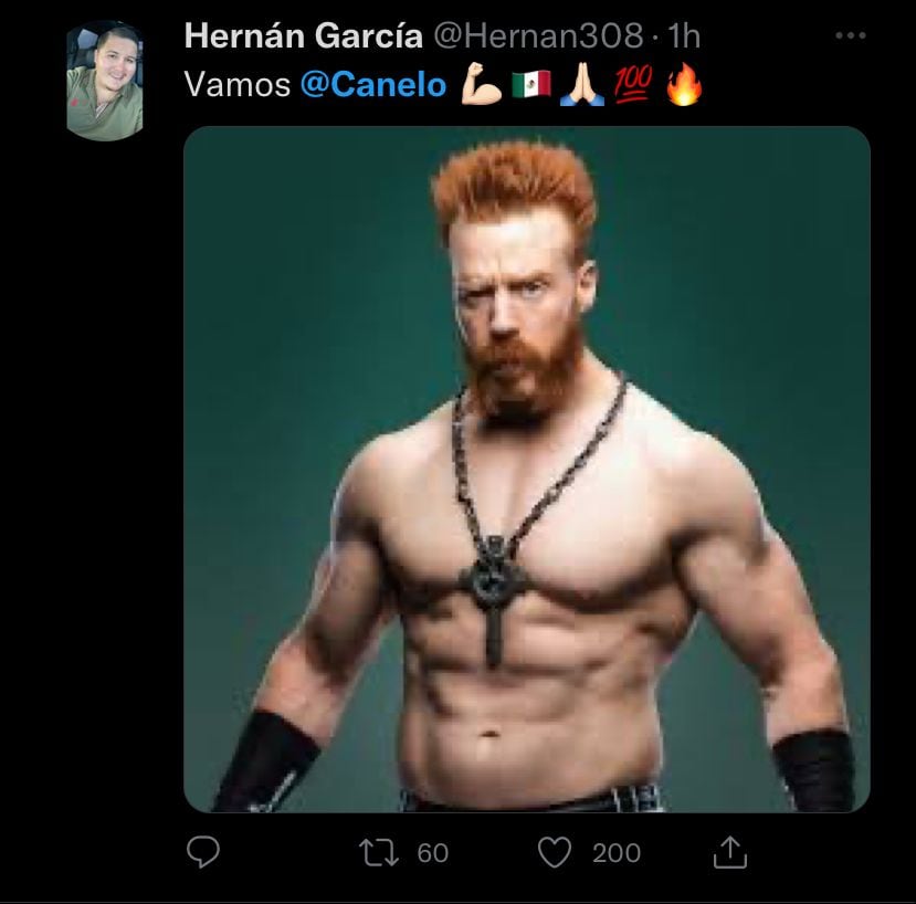 Memes Canelo vs Golovkin