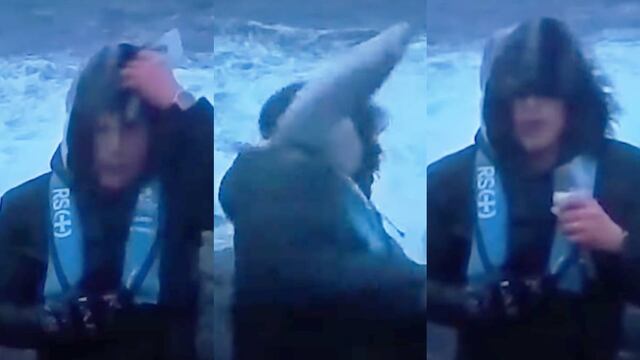 Pez golpea a reportero