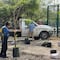 Monterrey reforesta el Parque Lago con 120 árboles nativos