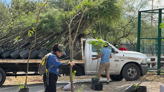 Gobierno de Monterrey y voluntarios plantan 120 árboles nativos.