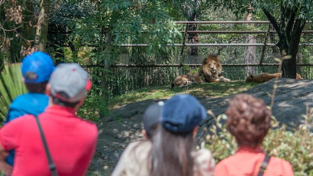 Zoológico de Chapultepec