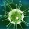 Síntomas del virus Chandipura, que genera alarma y muertes en India