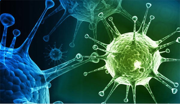 H3N2 bajo vigilancia: OMS mantiene monitoreo pese a no declarar alerta