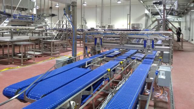 Granjas Carroll de México.