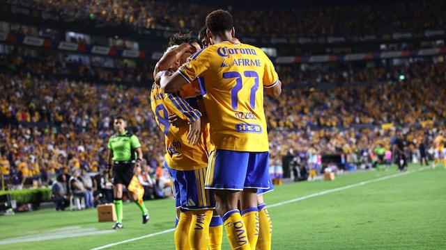 Jugadores del equipo Tigres.