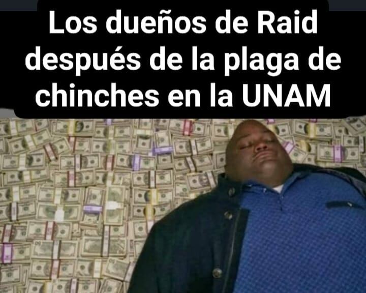 Se desata plaga de memes por chinches de la UNAM