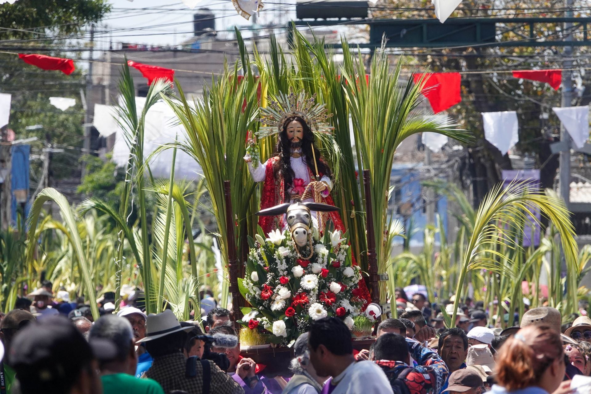 Magdalena Montiel Velázquez