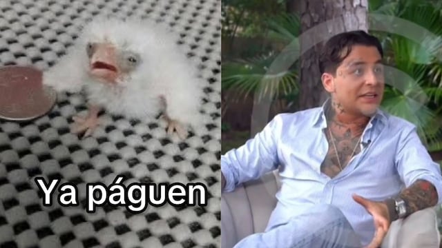 Memes de la entrevista de Christian Nodal con Adela Micha