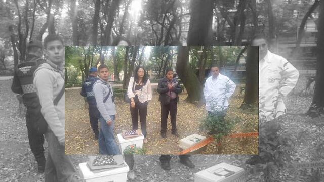 Dicha acción se registró luego del hallazgo de una ardilla muerta, muy cerca de unas galletas, las cuales ya fueron recolectadas por personal del Ministerio Público para su posterior análisis.
