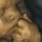 ¿Embarazada? Estudio revela el rostro del feto al sentir el estrés de su mamá