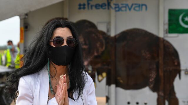 Cher y el elefante "más solitario del mundo"