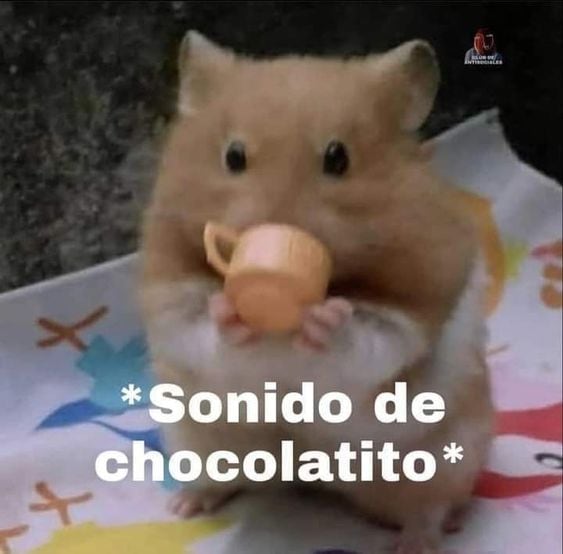Team frío protagoniza memes por bajas temperaturas en CDMX