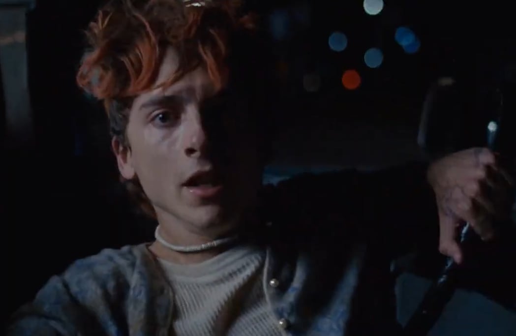 Timothée Chalamet en la película: Bones And All