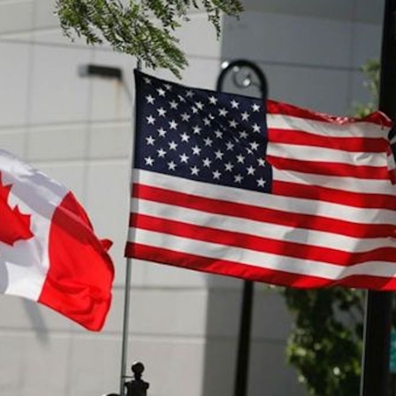 Diálogos para el T-MEC