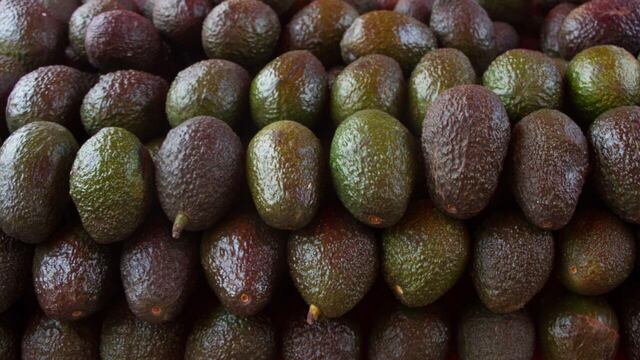 Aguacate, manjar mexicano de exportación