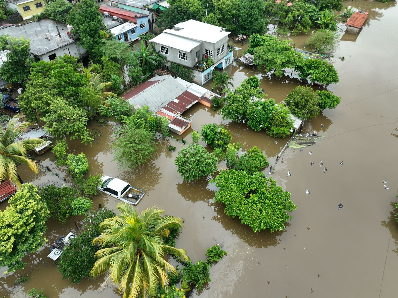 Río Coatzacoalcos se desborda y deja estas imágenes
