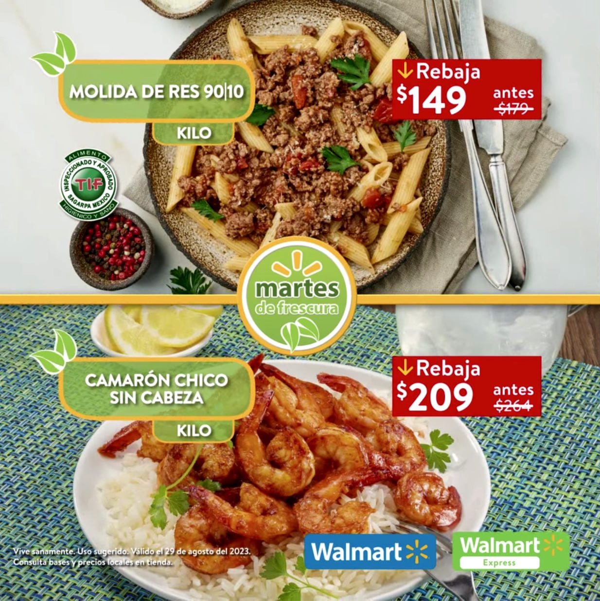 Folleto 29 de agosto