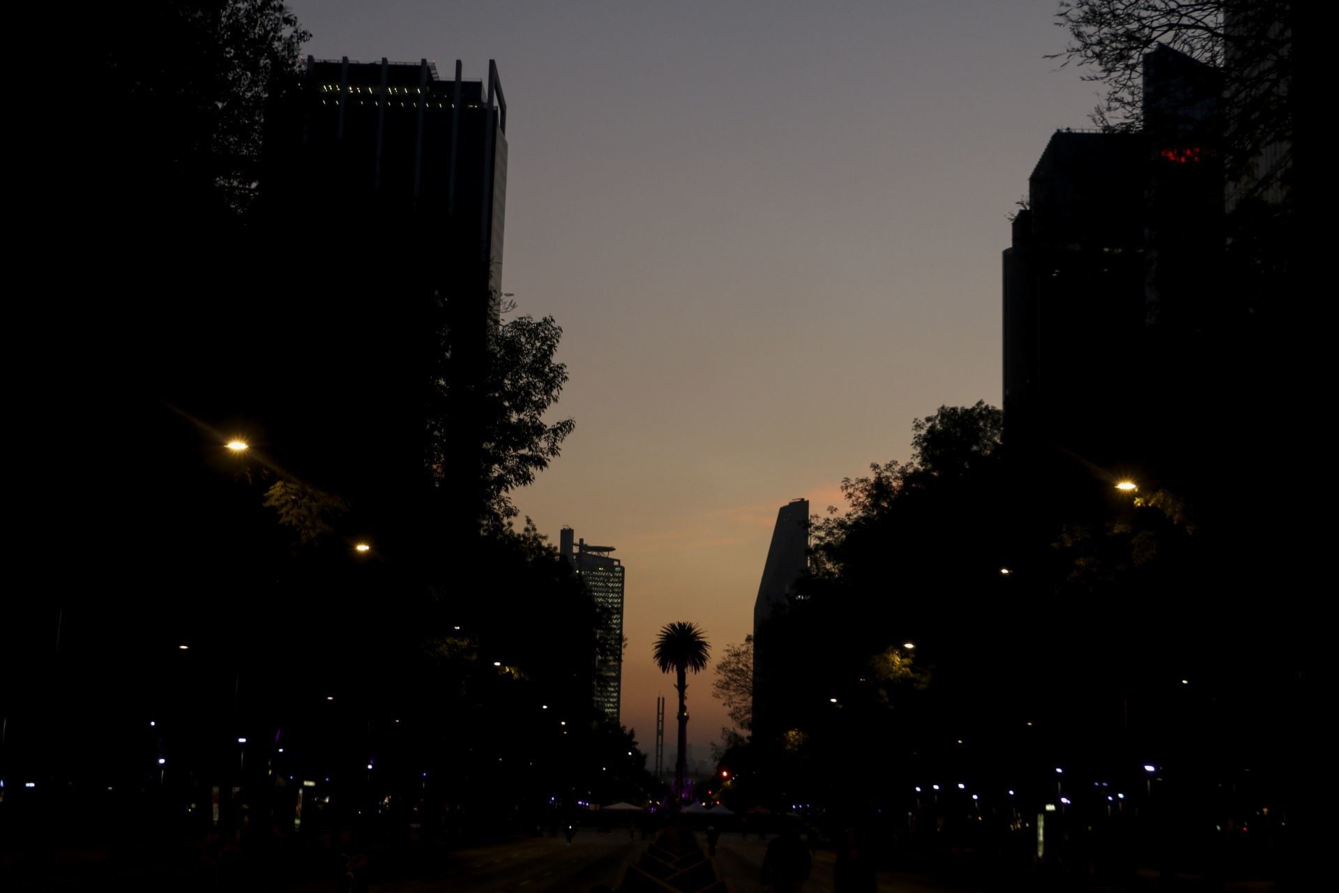 Glorieta de la Palma