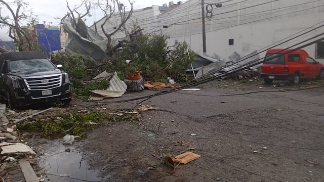 Vialidades cerradas por caída de árboles en Acapulco tras paso de Otis. Foto: Ginés Sánchez