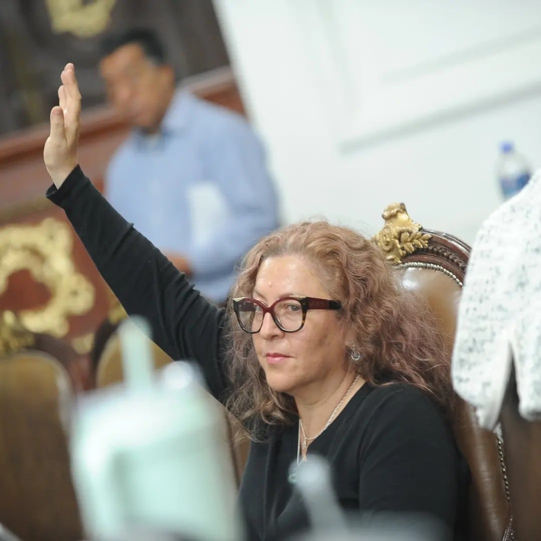 ¿Quién es Ana Francis López Bayghen Patiño?