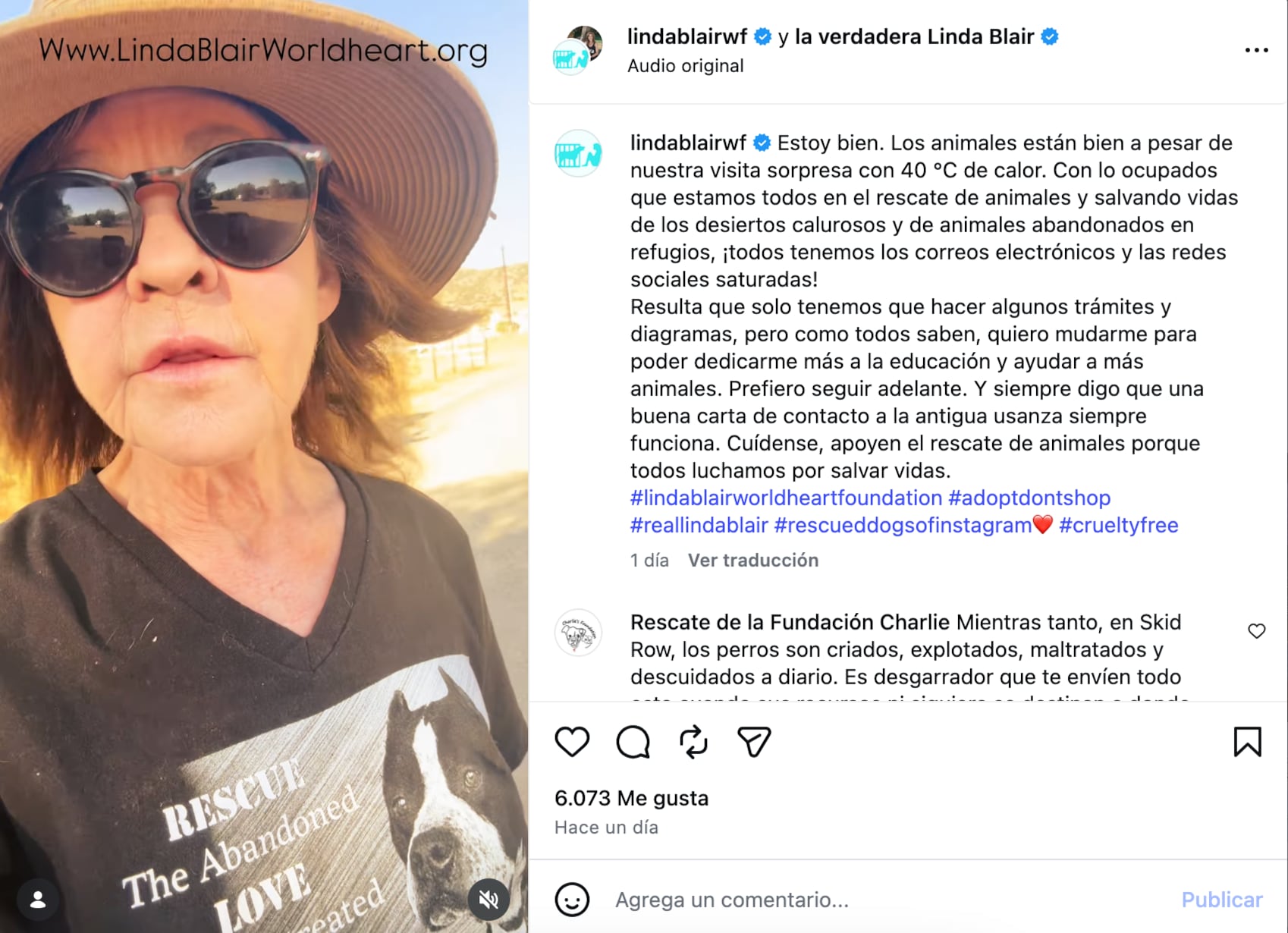 Linda Blair habla sobre su investigación con perros