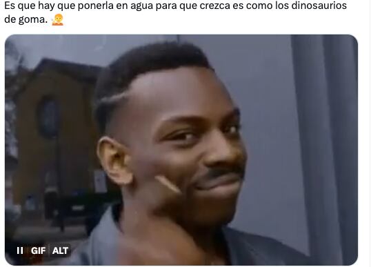Usuarios se burlan de la olla express que compró en Temu.