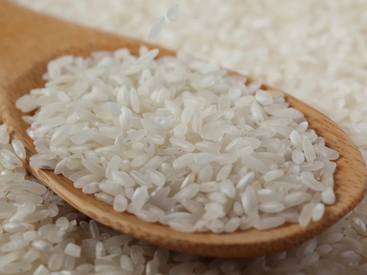 Granos de Arroz