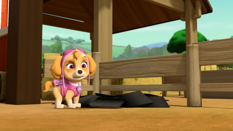 Skye de Paw Patrol
