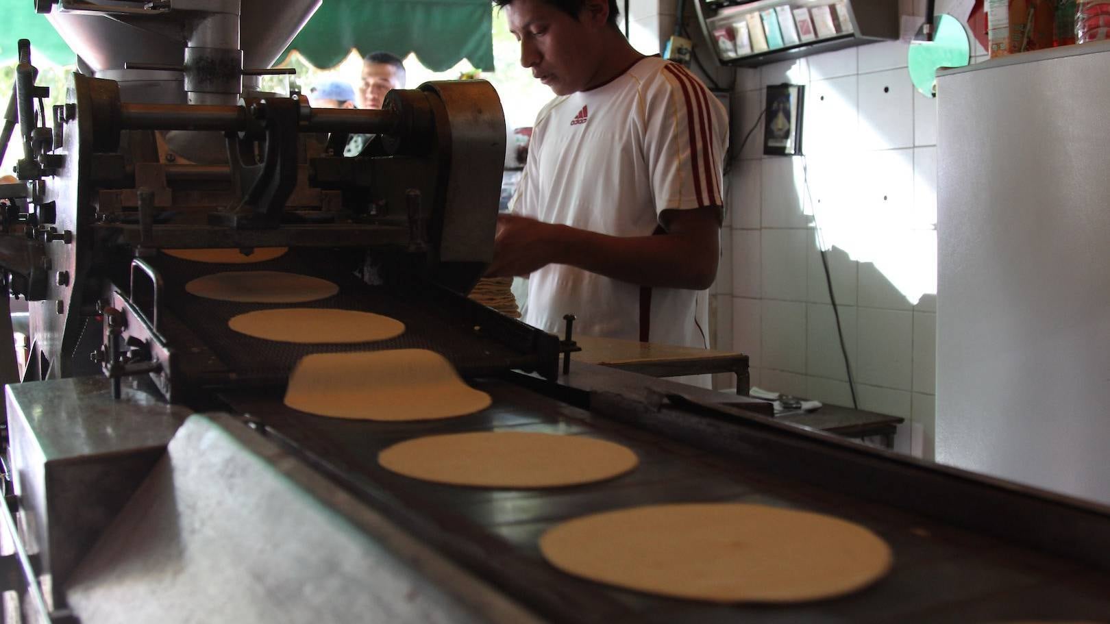 Masa para hacer tortillas. Aumento en costos.