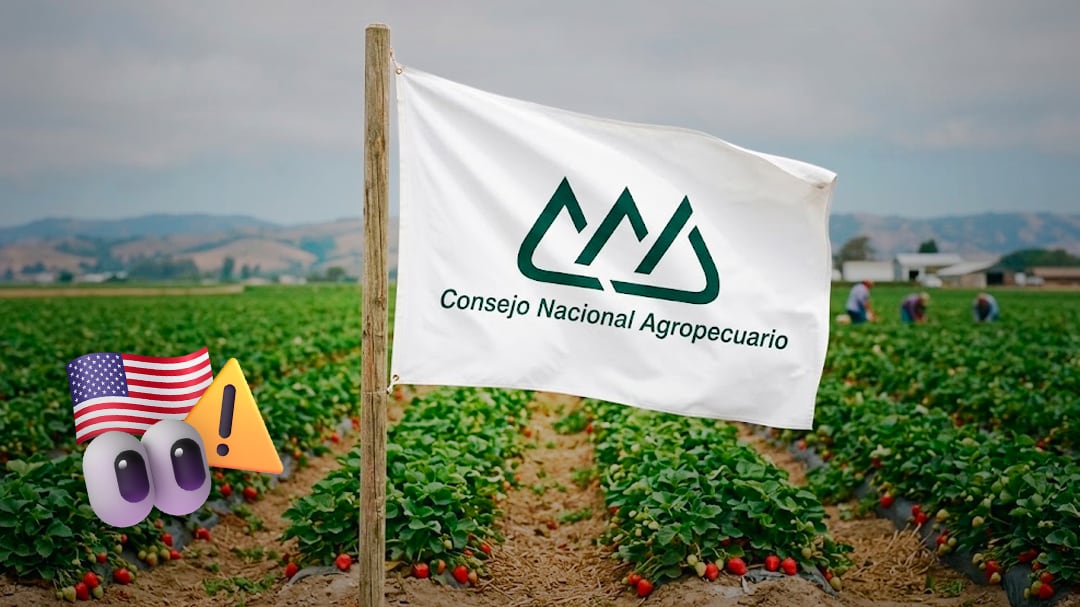 Consejo Nacional Agropecuario: cuotas antidumping a fresas mexicanas van contra el T-MEC