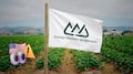 Consejo Nacional Agropecuario: cuotas antidumping a fresas mexicanas van contra el T-MEC