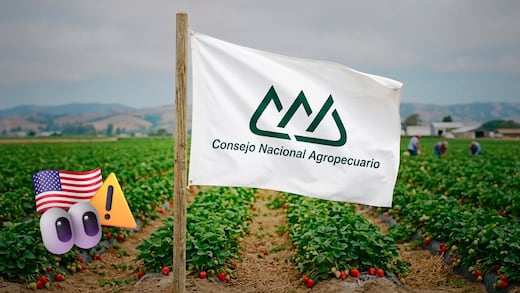 Consejo Nacional Agropecuario: cuotas antidumping a fresas mexicanas van contra el T-MEC
